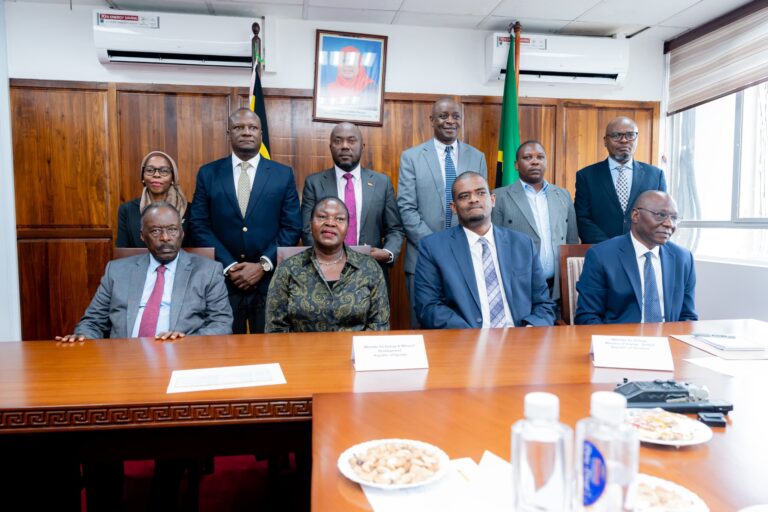 High Level Stakeholder Meeting at the Tanzania Ministry of Energy