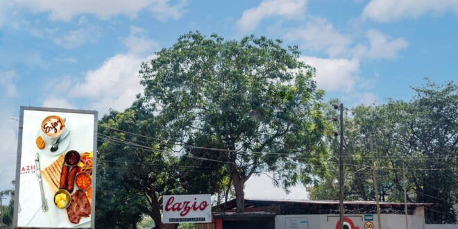 63f4d4c6b84c71676989638