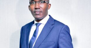 Beyond Copy Paste and Query The Smarter Way to Use