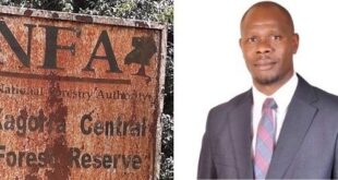 Kagorra_Central_Forest_Reserve_-_Uganda_20190919_121709_(cropped)