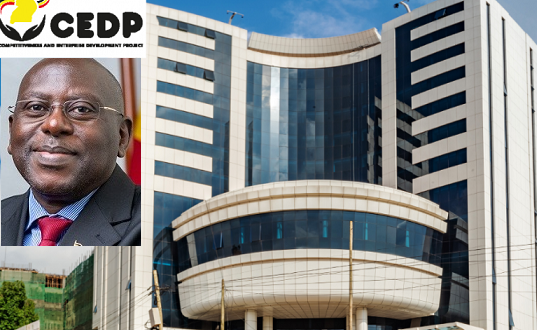 Screenshot-2022-06-02-at-14-13-28-CEDP-supplementary-PSST.pdf-860x648