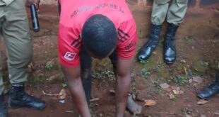 Police Arrest Suspect in Motor Vehicle Number Plate Theft