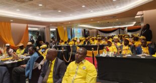 Diaspora Sacco to Take Center Stage at Museveni Victory Party