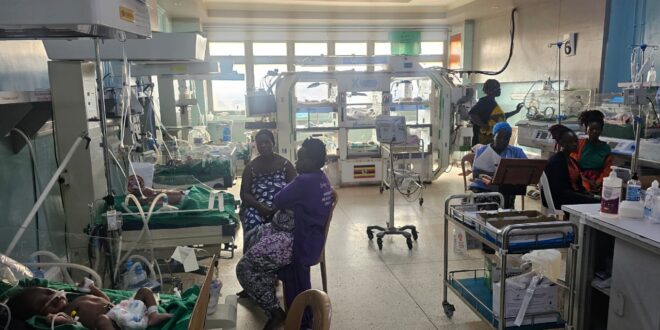 Inside Mama Tulia The Initiative Changing Survival for Premature Babies