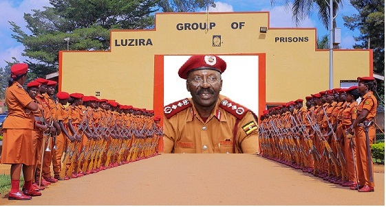 2025-06-27-11-58-30-685e5d36e9335