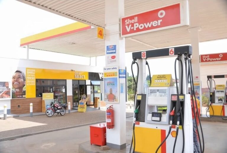 649213545_905860219003343_955237247051107921_n