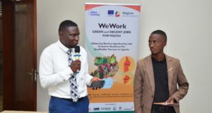 Bamboo Agroforestry Project Launched to Boost Livelihoods in Mukono and