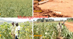 Gender Ministry Officials Accused of Sharing 30 Acres of Land