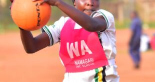 Greenlight Shine Bright as Namagabi Bounce Back on Day One