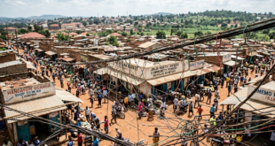 Gemini_Generated_Image_5vv9ki5vv9ki5vv9