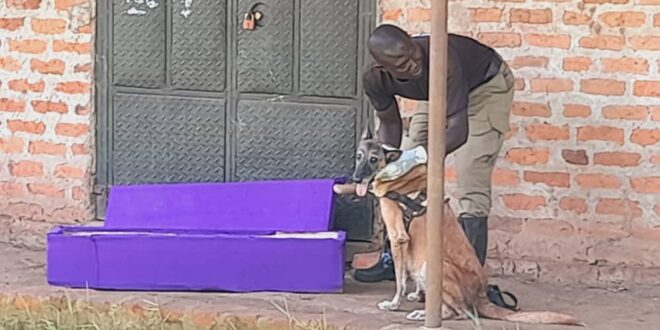 SHOCKING COFFIN DROPPED AT HOME OF RESIDENT IN HOIMA CITY