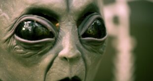 Are aliens racist The Observer