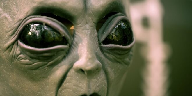 Are aliens racist The Observer