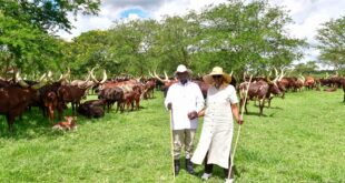 Breaking! Museveni Unveils New Cabinet For 2026-2031 Term, Drops Gen Moses Ali