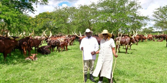 Breaking! Museveni Unveils New Cabinet For 2026-2031 Term, Drops Gen Moses Ali