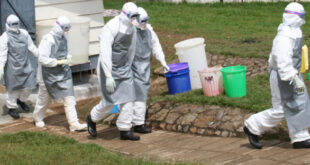 Dont Panic Were Curbing The Outbreak MoH Confirms Ebola Under