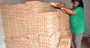 How dfcu Bank Is Supporting Dem Poultry Farm to Expand