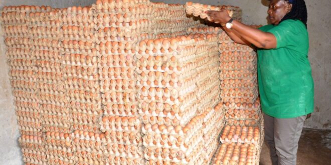 How dfcu Bank Is Supporting Dem Poultry Farm to Expand