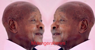 M7 Accuses CJ Zeija of Voter Suppression as MPs End