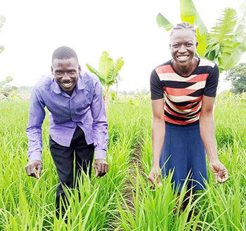 MPs question govt rice growing ban in Bukedi
