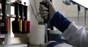 Powerful! How African Scientists Helped Stop A Deadly Hantavirus Outbreak At Sea
