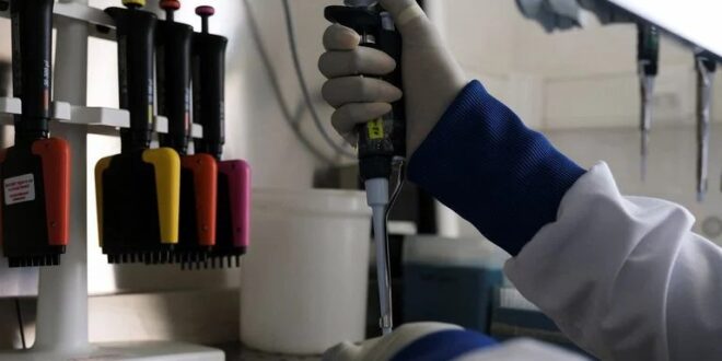 Powerful! How African Scientists Helped Stop A Deadly Hantavirus Outbreak At Sea