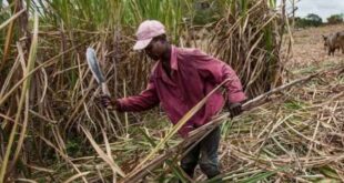 Take Them Back! IGP Rescinds Earlier Directive, Orders Return Of Confiscated Farmers’ Weighbridges Amid Escalating Sugar War