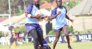 Thunderbirds get reward for three years of grind