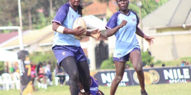 Thunderbirds get reward for three years of grind