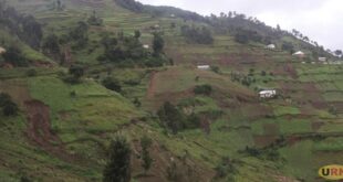 Two teenagers killed in Kisoro landslides