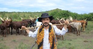 UTB leveraging commercial diplomacy to deepen Ugandas tourism potential