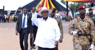 Will seventh term be the charm