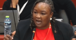 1781184365 Anti LGBTQ forces push toward Africa wide adoption of anti LGBTQ charter
