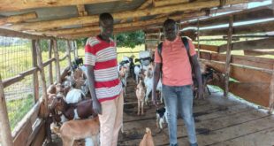 1781596135 How PDM Changed Eceru Simons s Life in Kapelebyong –