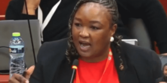 South African member of parliament Zandile Majozi tells the anti-LGBTQ conference that her nation rejects the human rights violations contained in the proposed anti-LGBTQ+ African charter.