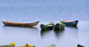 Boy 12 dies after crocodile attack in Buyende
