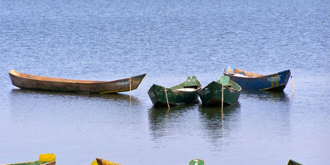 Boy 12 dies after crocodile attack in Buyende