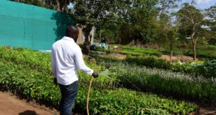 EQUITY BANK LIGHTS UP LIRA Solar Irrigation Creates Wealth and