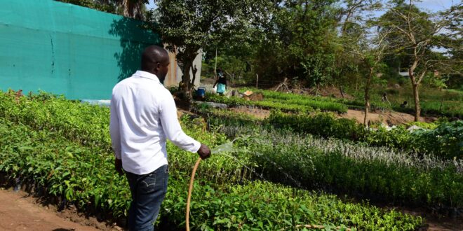 EQUITY BANK LIGHTS UP LIRA Solar Irrigation Creates Wealth and