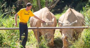 Entebbe Zoo the best in East Central and West Africa