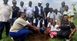 Environmentalist want stricter laws on construction mandatory tree planting to