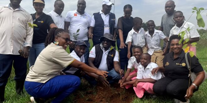 Environmentalist want stricter laws on construction mandatory tree planting to