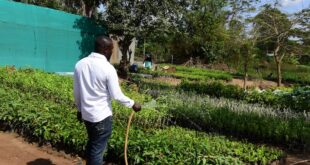 Equity bank empowers Lira residents through solar irrigation