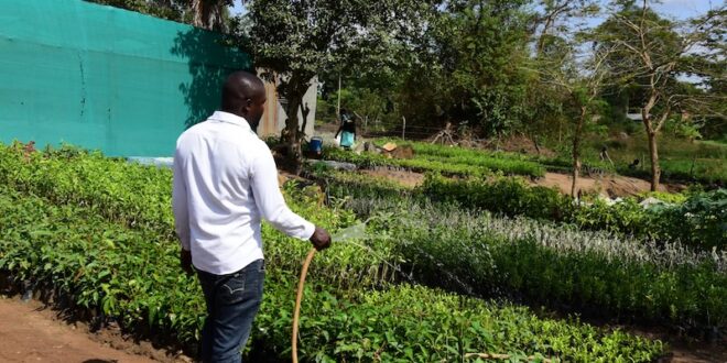 Equity bank empowers Lira residents through solar irrigation