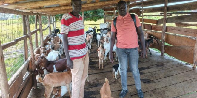 How PDM Changed Eceru Simons s Life in Kapelebyong –