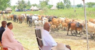 Museveni stuck with Anita Among