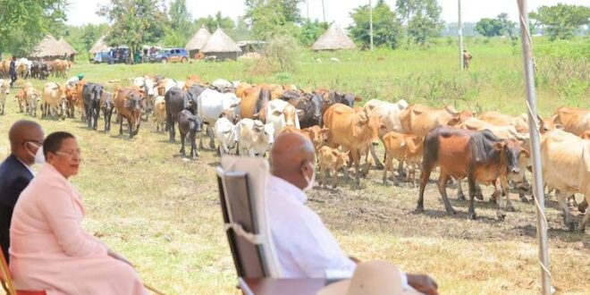 Museveni stuck with Anita Among