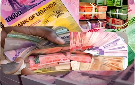 New Term-New Loans: Uganda To Borrow €168.9 Million For ‘Solar Irrigation Project’