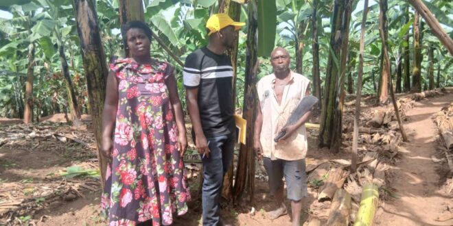 PDM Success Story Transforming Livelihoods In Sheema District