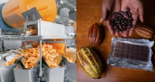 Pearl Bank continues to facilitate growth of commercial Agric aligning.webp